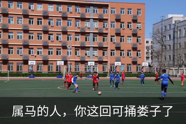 属马的人，你这回可捅娄子了