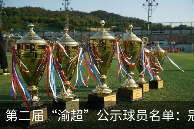 第二届“渝超”公示球员名单：冠军队长“转会”九龙坡，黄希扬将联手吴庆